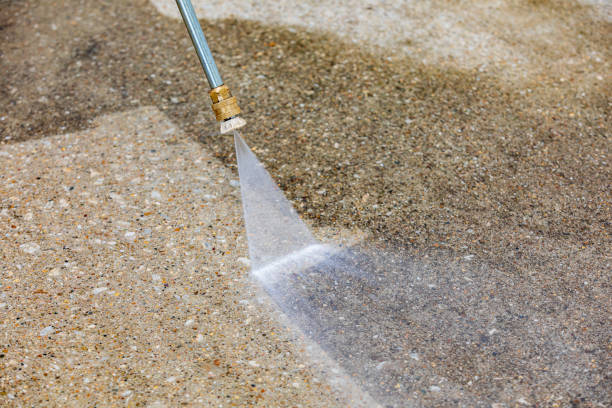 Professional Pressure Washing Services in Elk Plain, WA